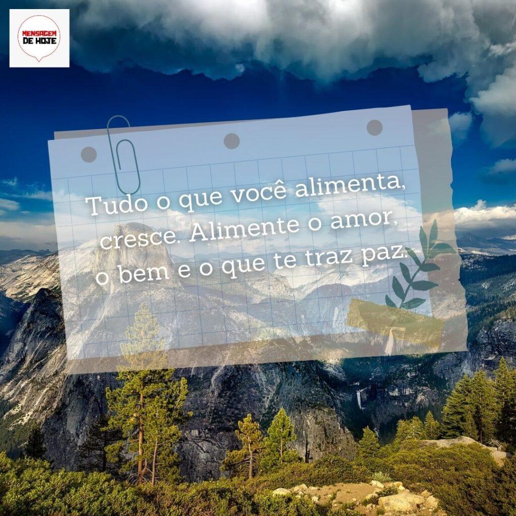 Pensamentos 22 de Fevereiro de 2023 1