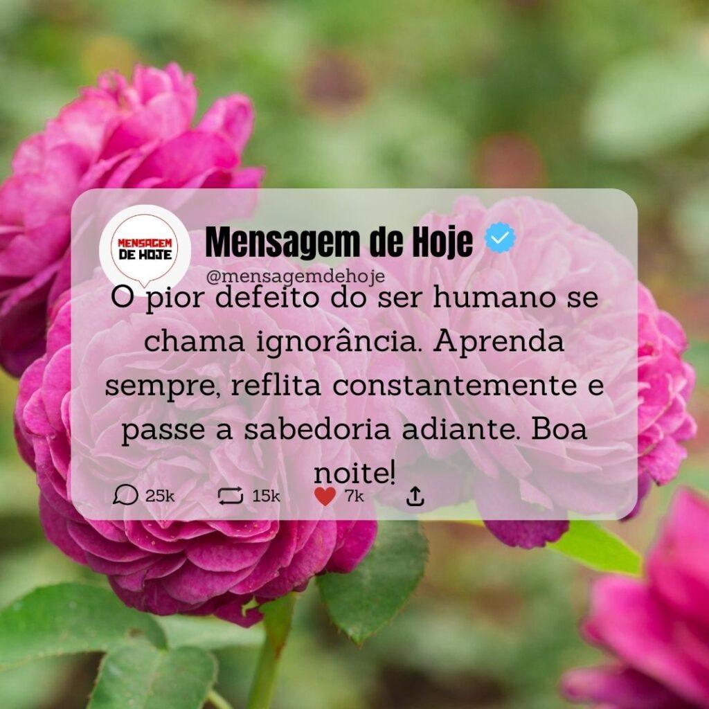 Boa Noite 01 de Março de 2023 3