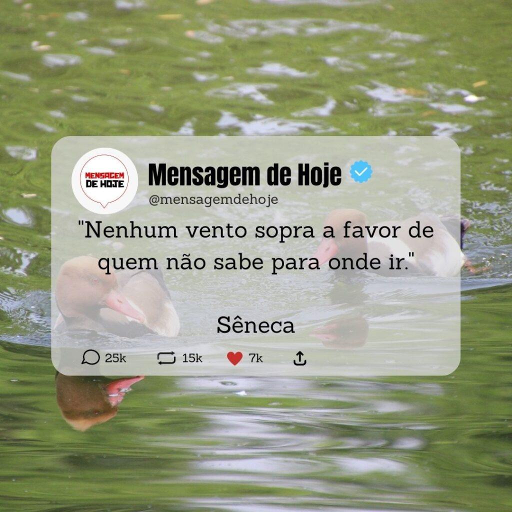 Pensamentos 11 de Março de 2023 5