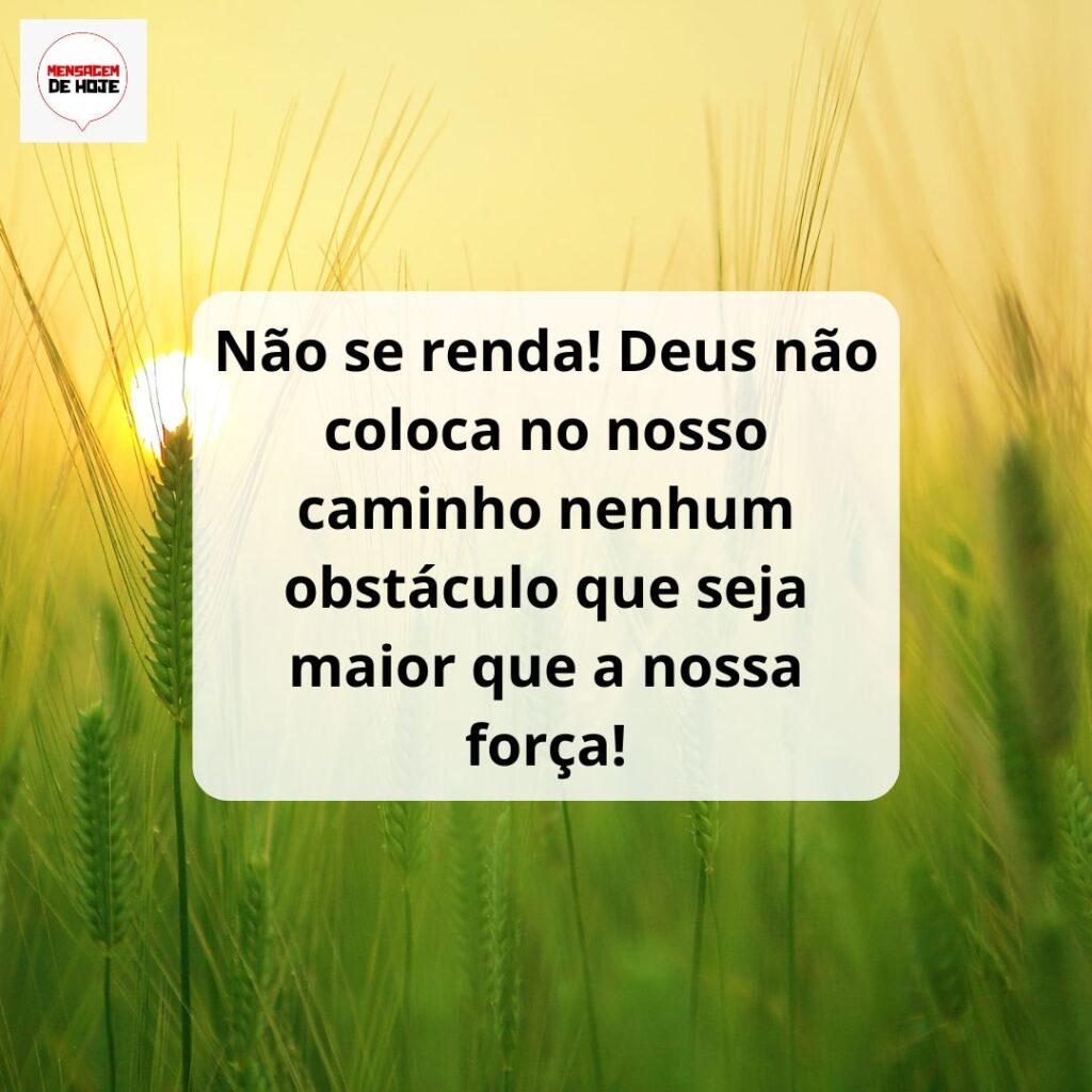 Bom Dia 12 de Março de 2023 1