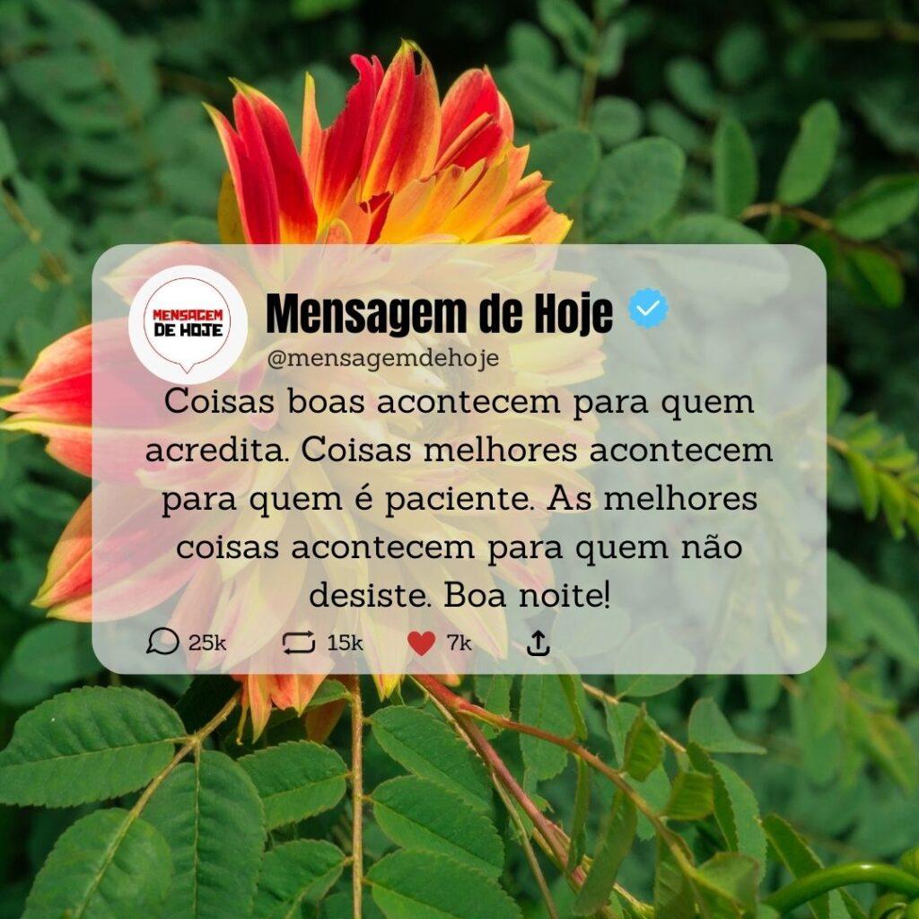 Boa Noite 02 de Março de 2023 7