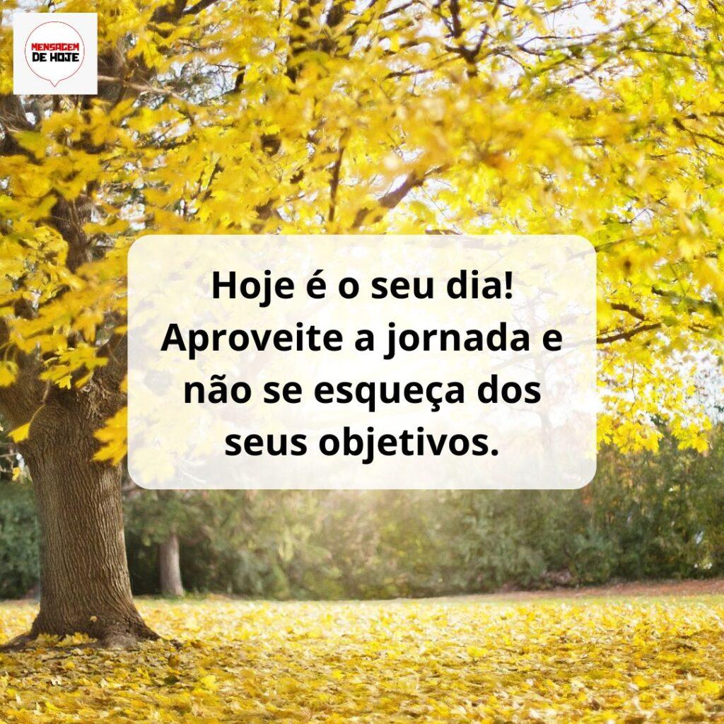 Bom Dia 14 de Março de 2023 9