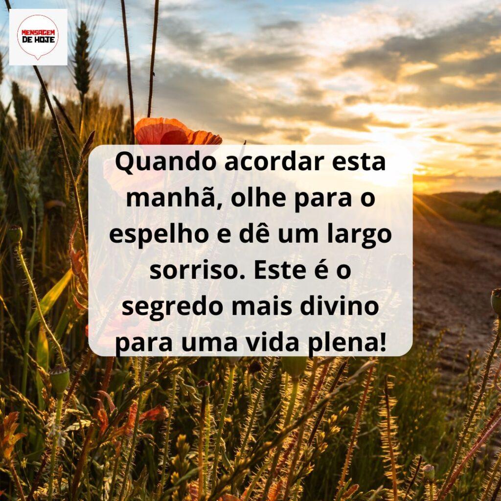 Bom Dia 14 de Março de 2023 17