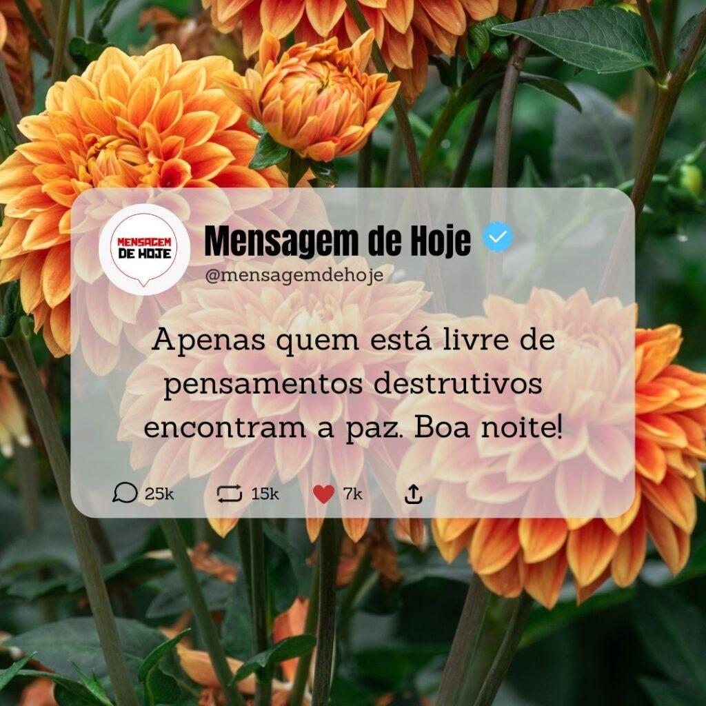 Boa Noite 02 de Março de 2023 11