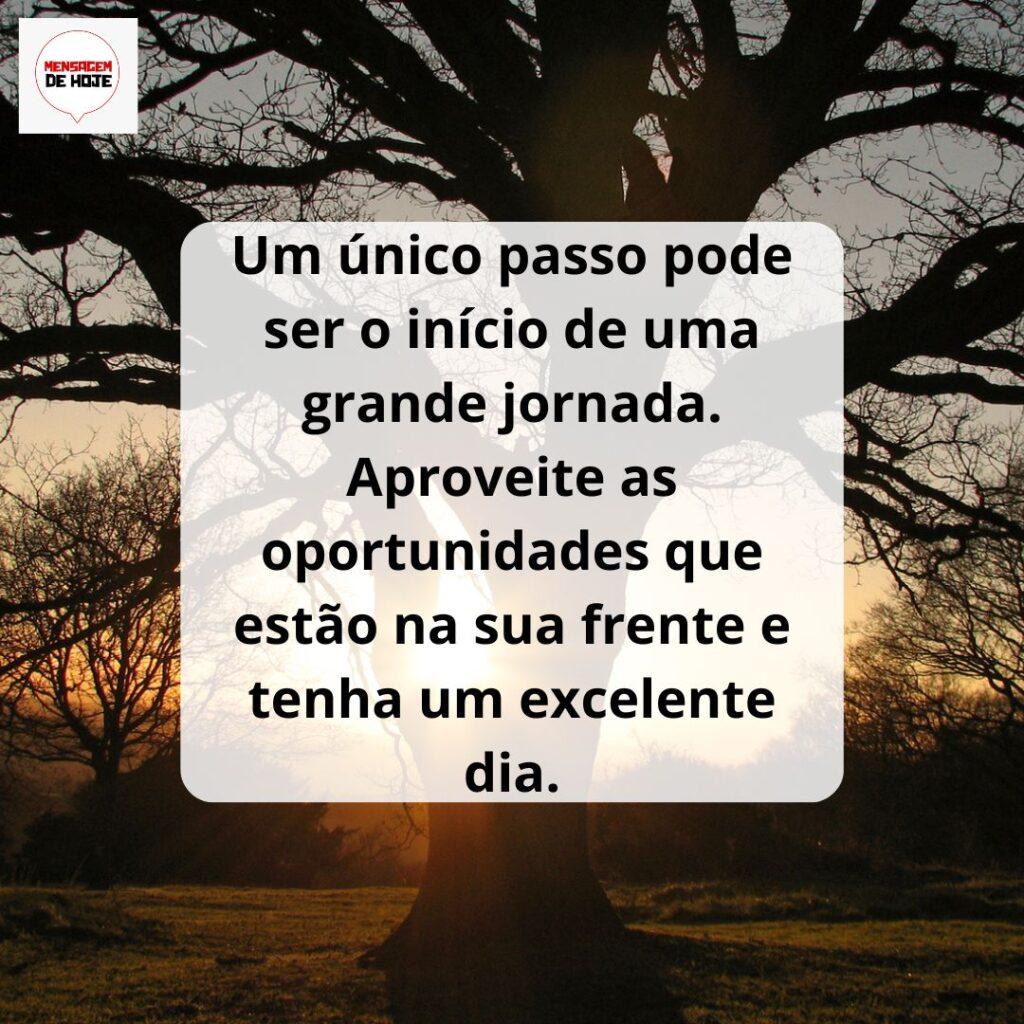 Bom Dia 15 de Março de 2023 5