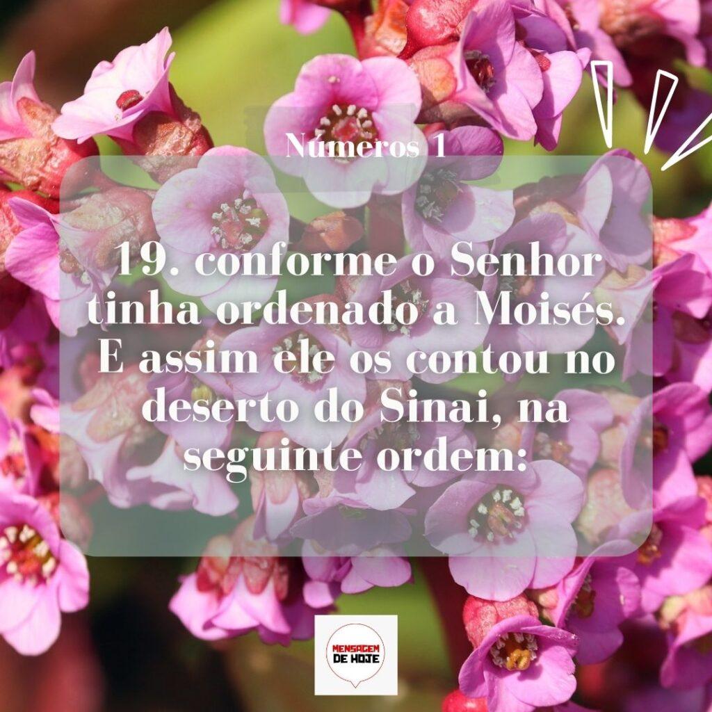 Salmos 20 de Março de 2023 17