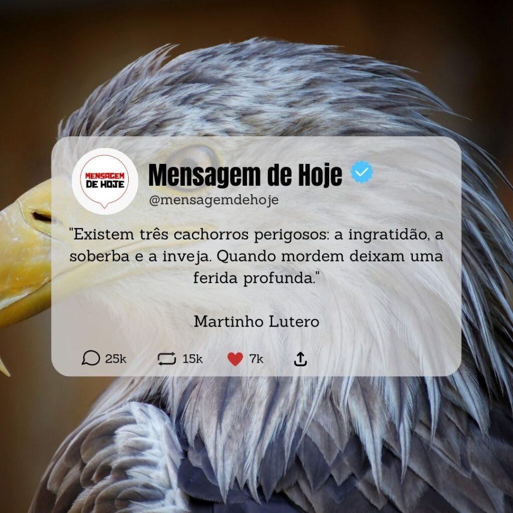 Pensamentos 07 de Março de 2023 17