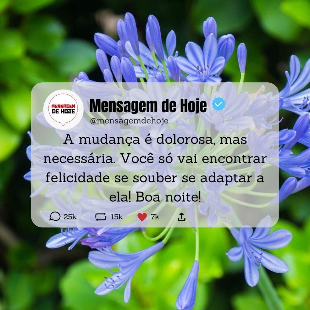 Boa Noite 02 de Março de 2023 15