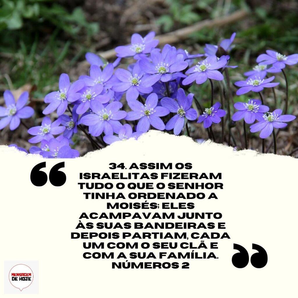 Salmos 27 de Março de 2023 15