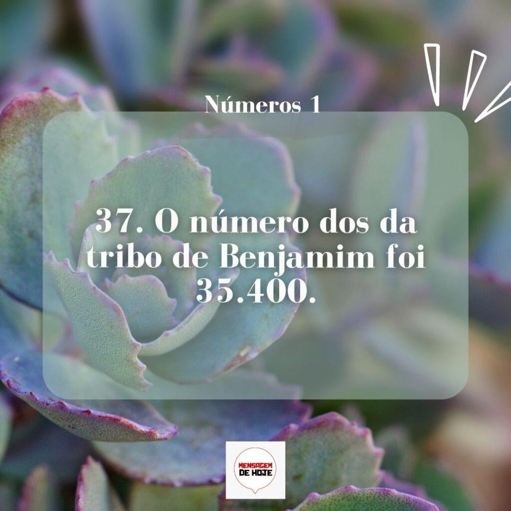 Salmos 22 de Março de 2023 13