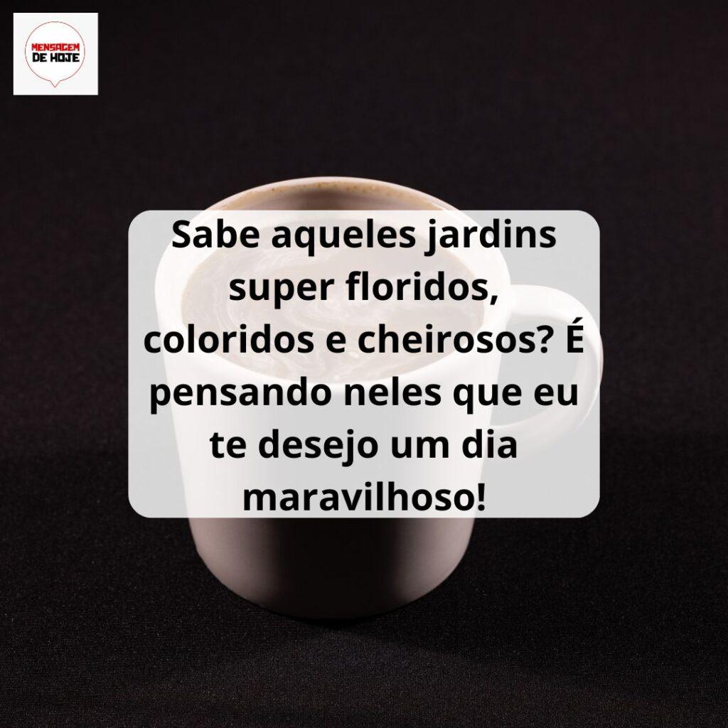 Bom Dia 17 de Março de 2023 3