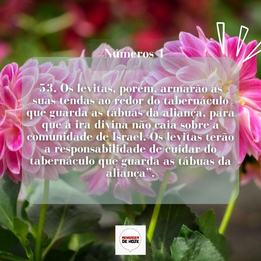 Salmos 24 de Março de 2023 5