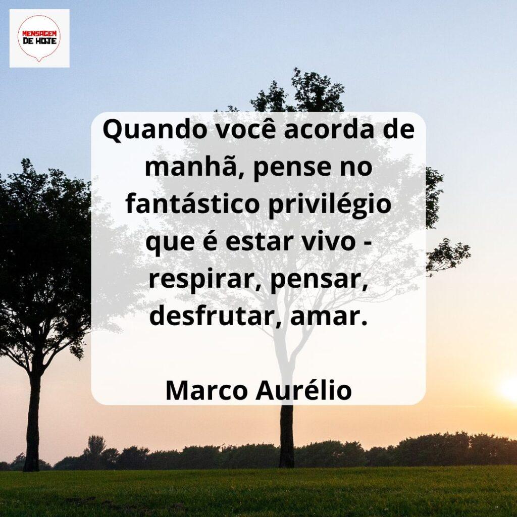 Bom Dia 19 de Março de 2023 9