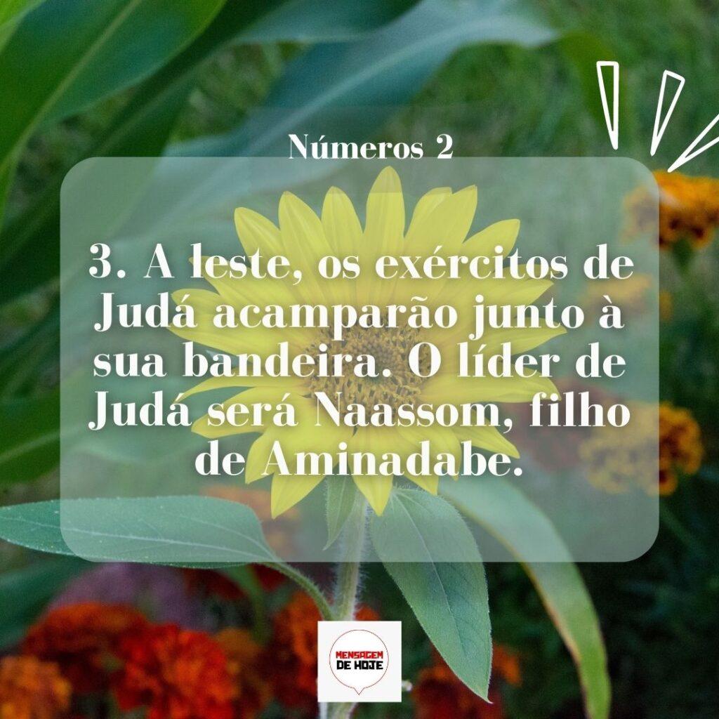 Salmos 24 de Março de 2023 13