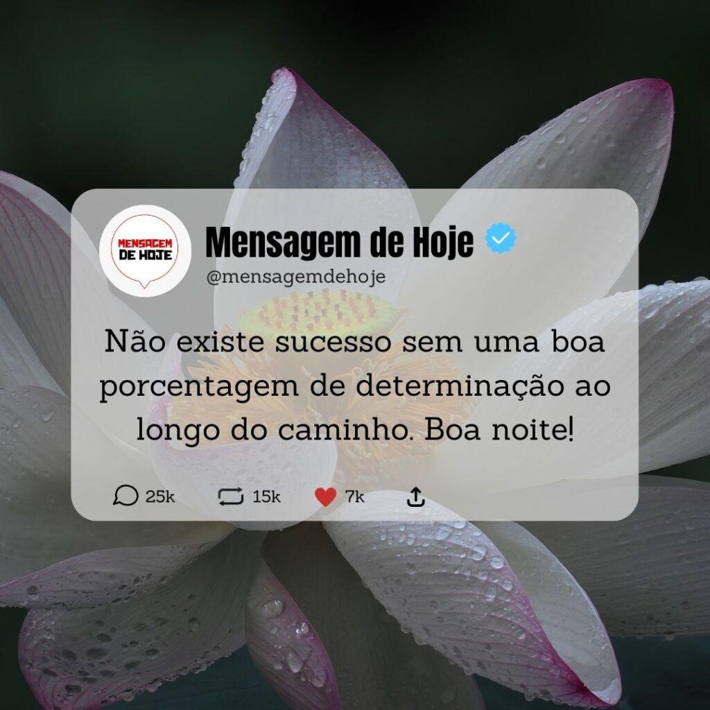 Boa Noite 02 de Março de 2023 3