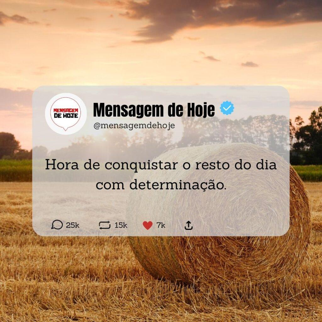 Boa Tarde 06 de Março de 2023 9