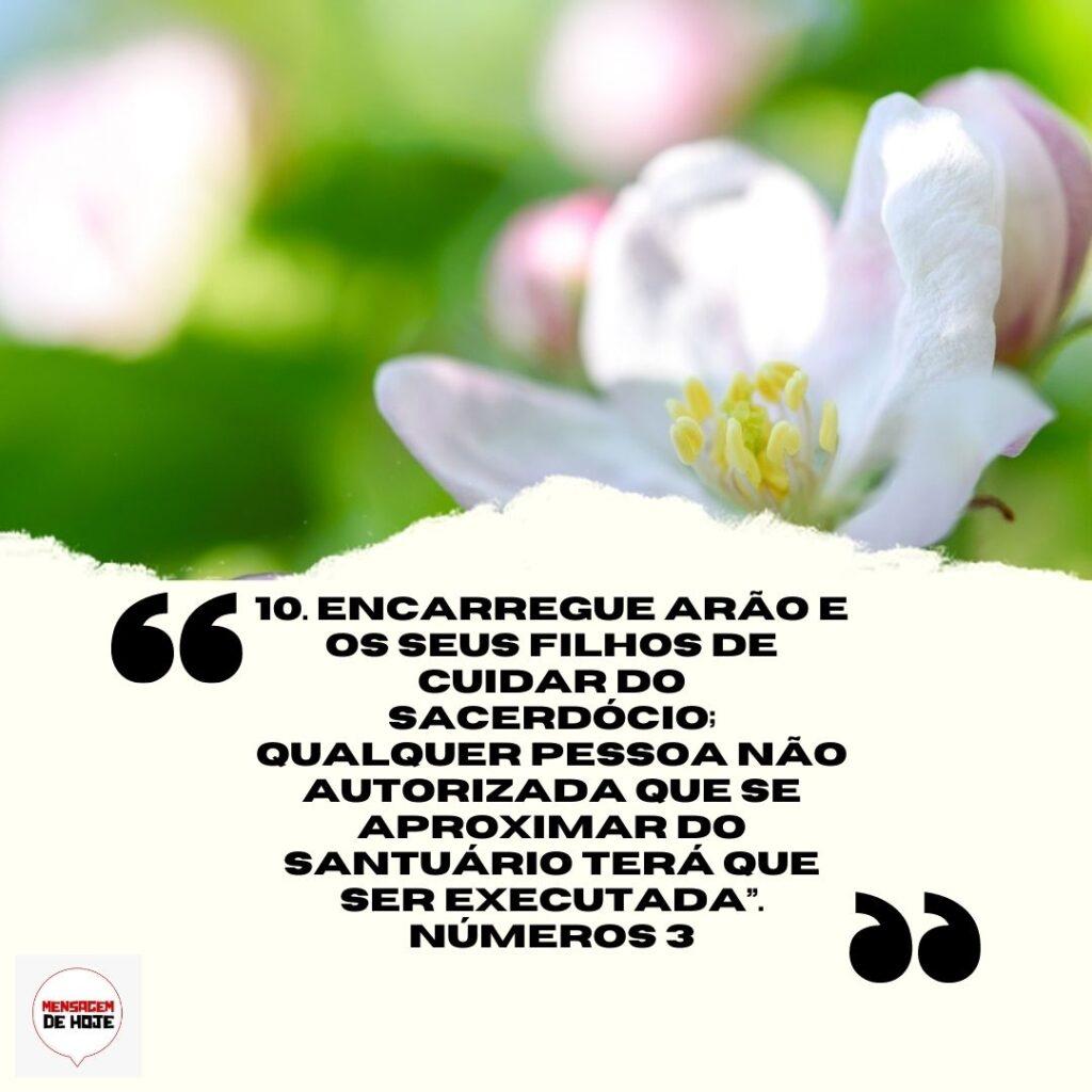Salmos 28 de Março de 2023 15