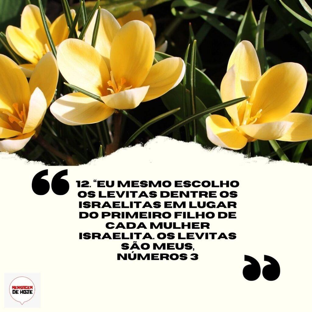Salmos 28 de Março de 2023 19