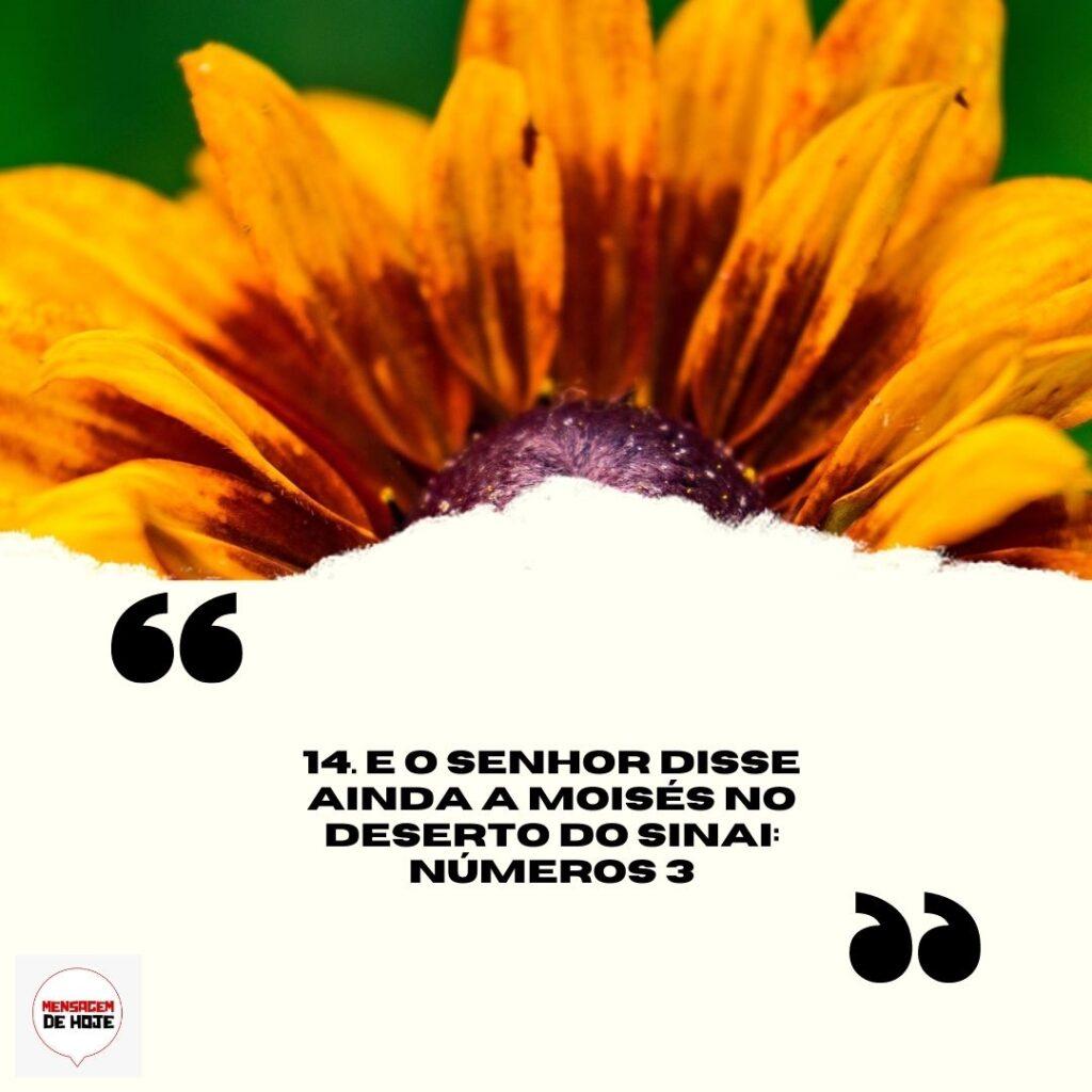 Salmos 28 de Março de 2023 3