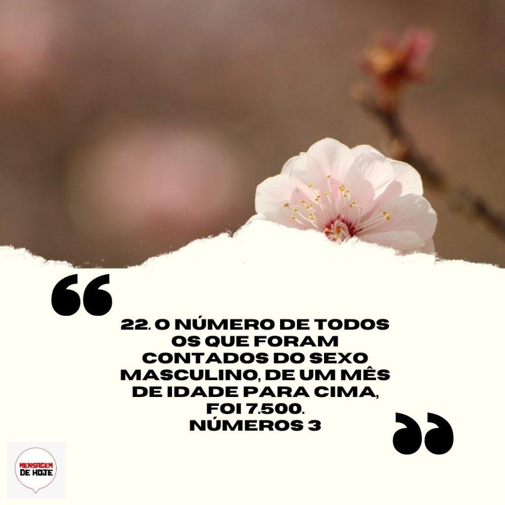 Salmos 29 de Março de 2023 19