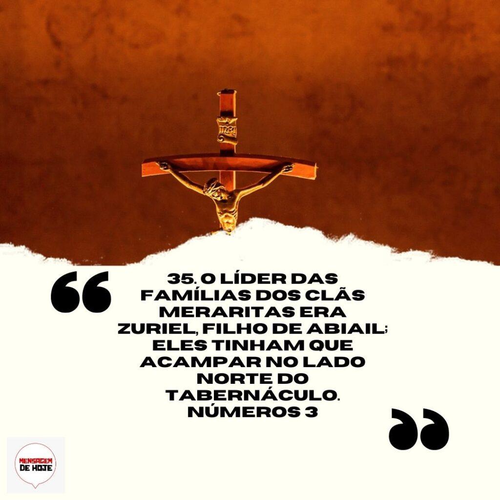 Salmos 31 de Março de 2023 5