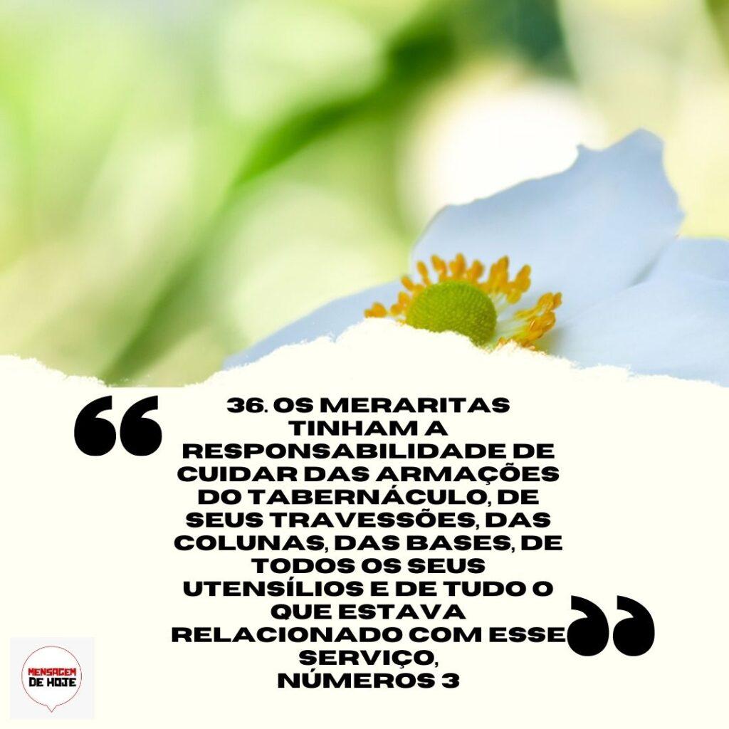 Salmos 31 de Março de 2023 7