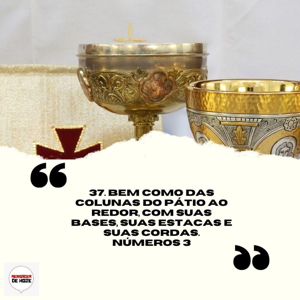 Salmos 31 de Março de 2023 9