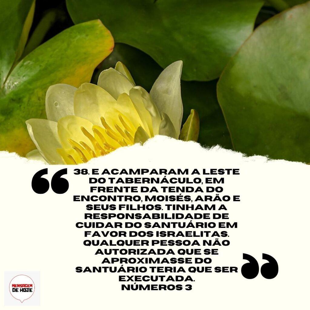 Salmos 31 de Março de 2023 11