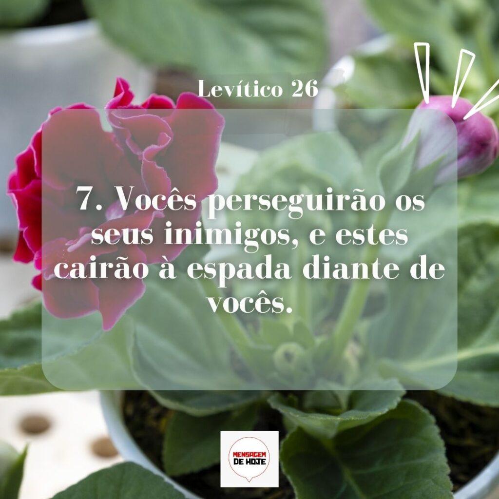 Salmos 11 de Março de 2023 13
