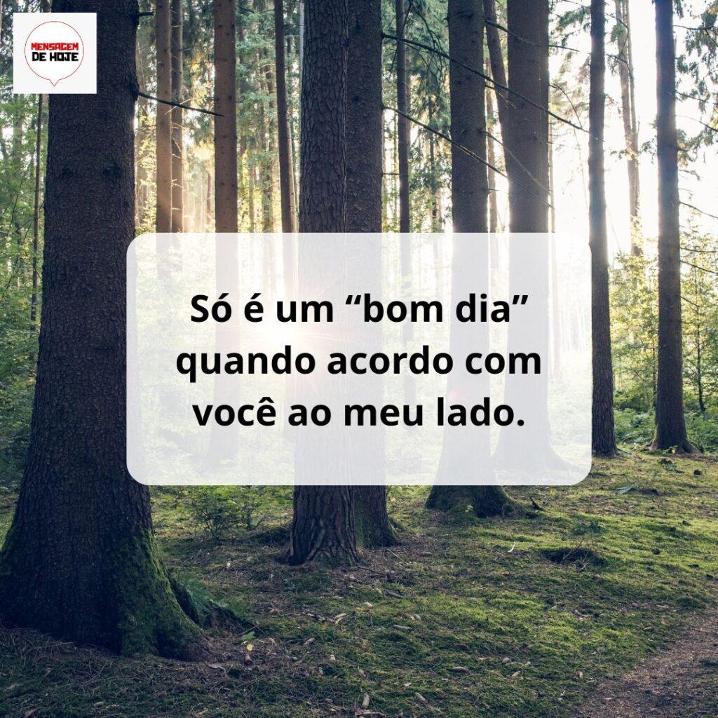 Bom Dia 06 de Março de 2023 13