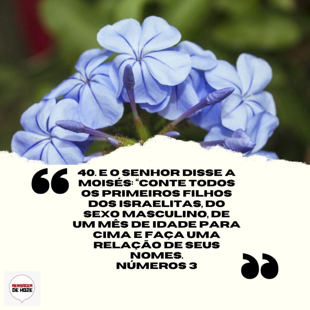 Salmos 31 de Março de 2023 15