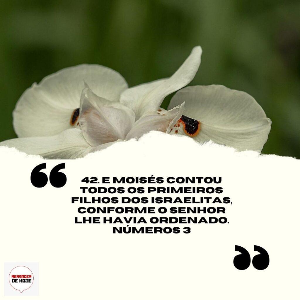 Salmos 31 de Março de 2023 19