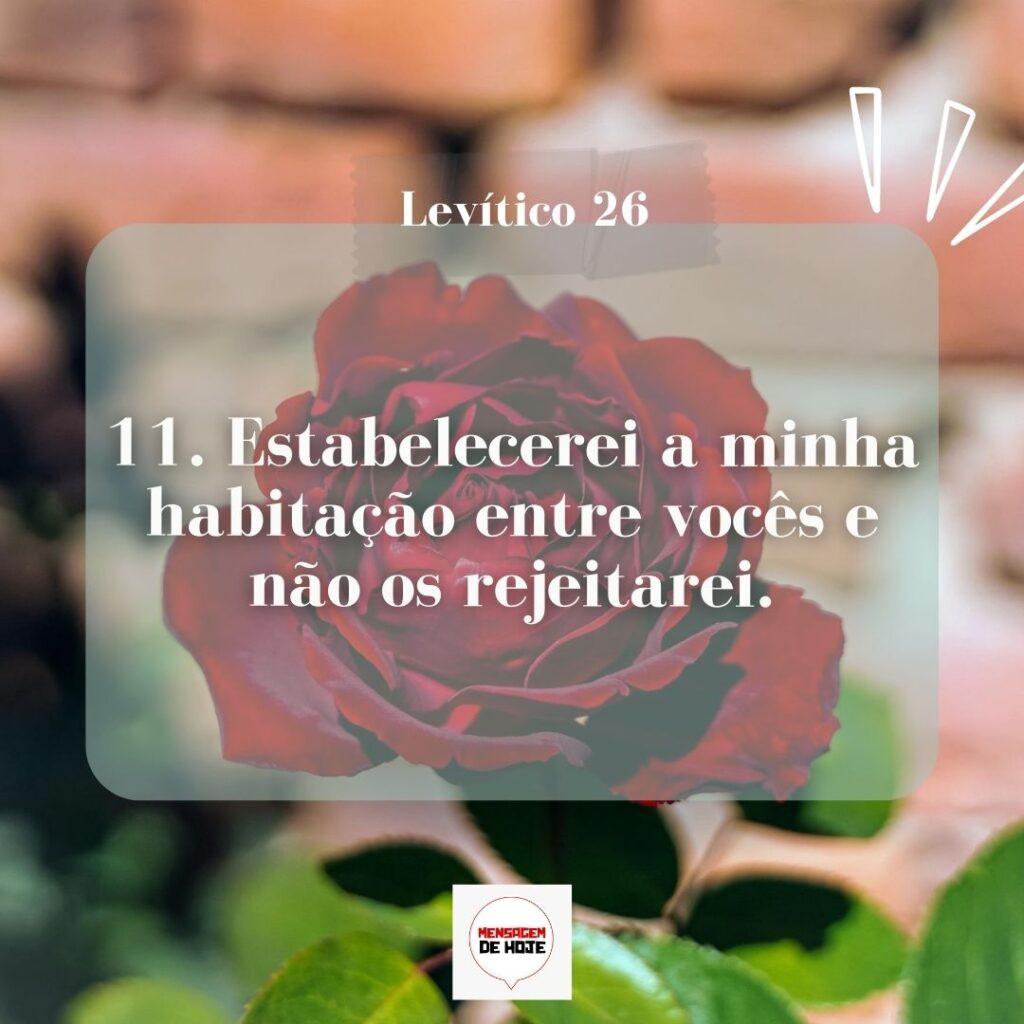 Salmos 11 de Março de 2023 1