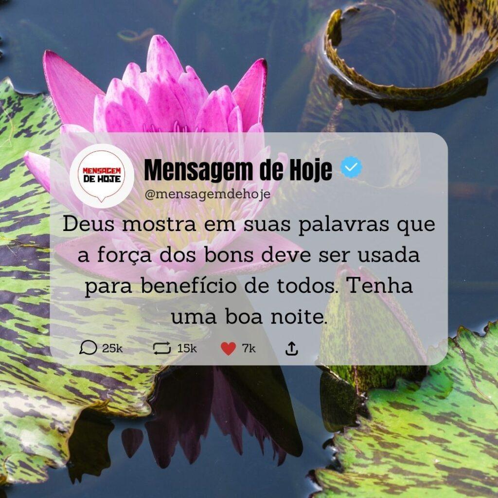 Boa Noite 01 de Março de 2023 15