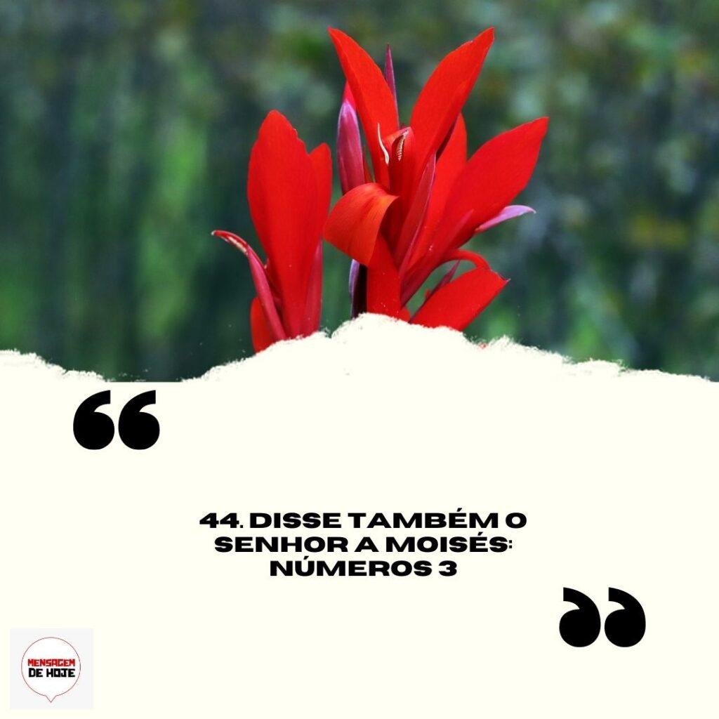 Salmos 31 de Março de 2023 3