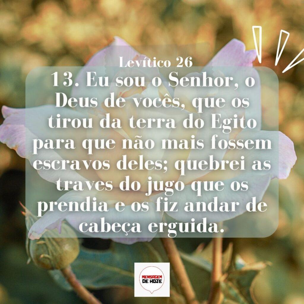 Salmos 12 de Março de 2023 5