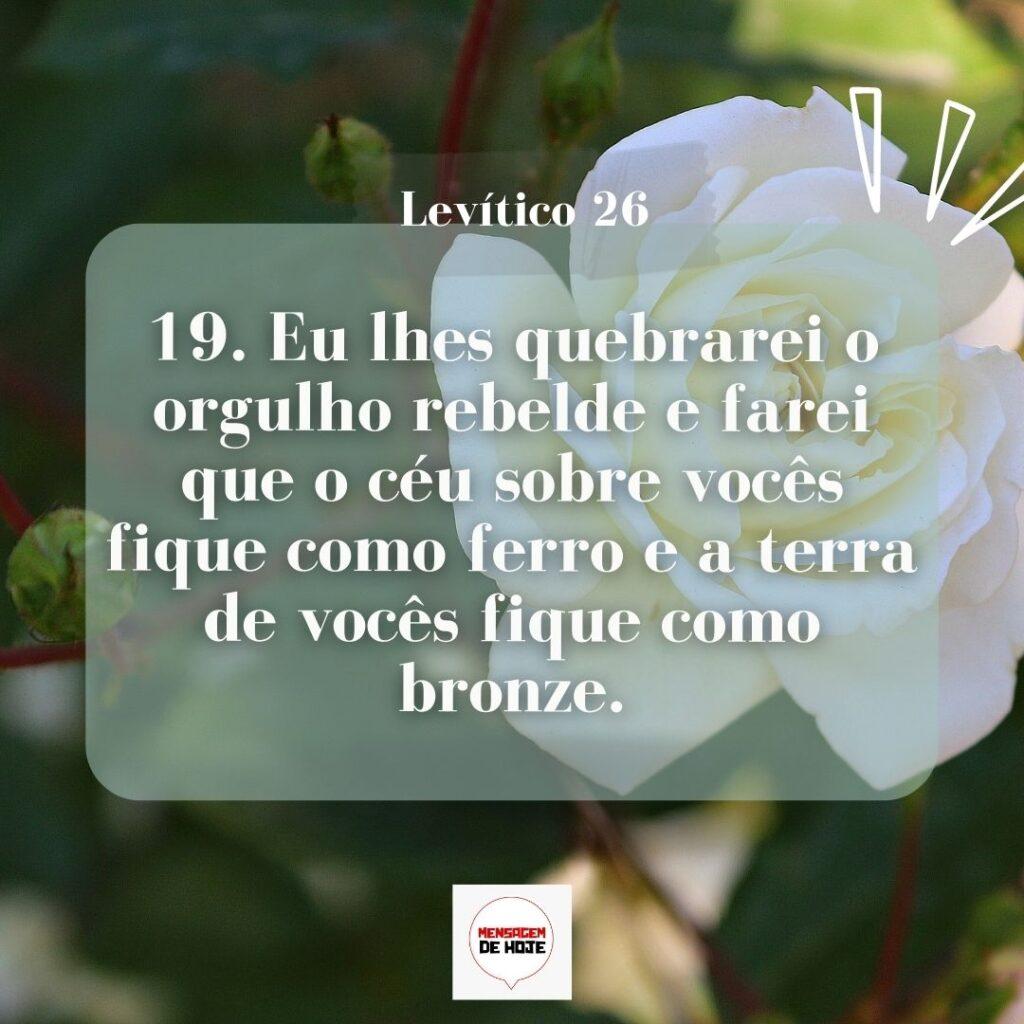 Salmos 12 de Março de 2023 17