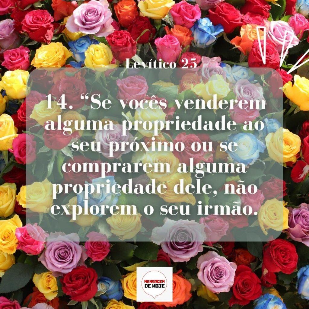 Salmos 06 de Março de 2023 15