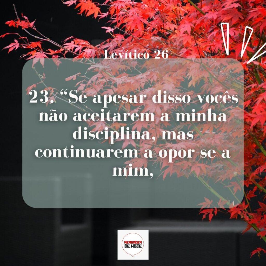 Salmos 13 de Março de 2023 5