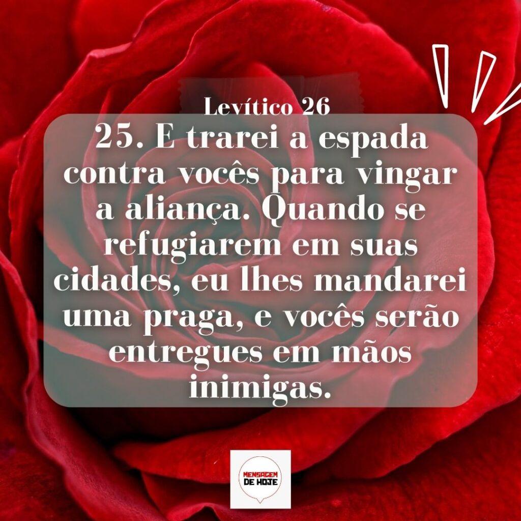 Salmos 13 de Março de 2023 9
