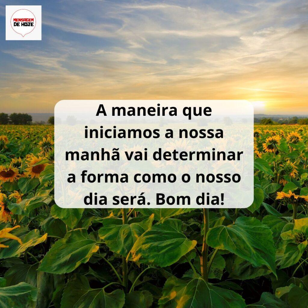 Bom Dia 08 de Março de 2023 9