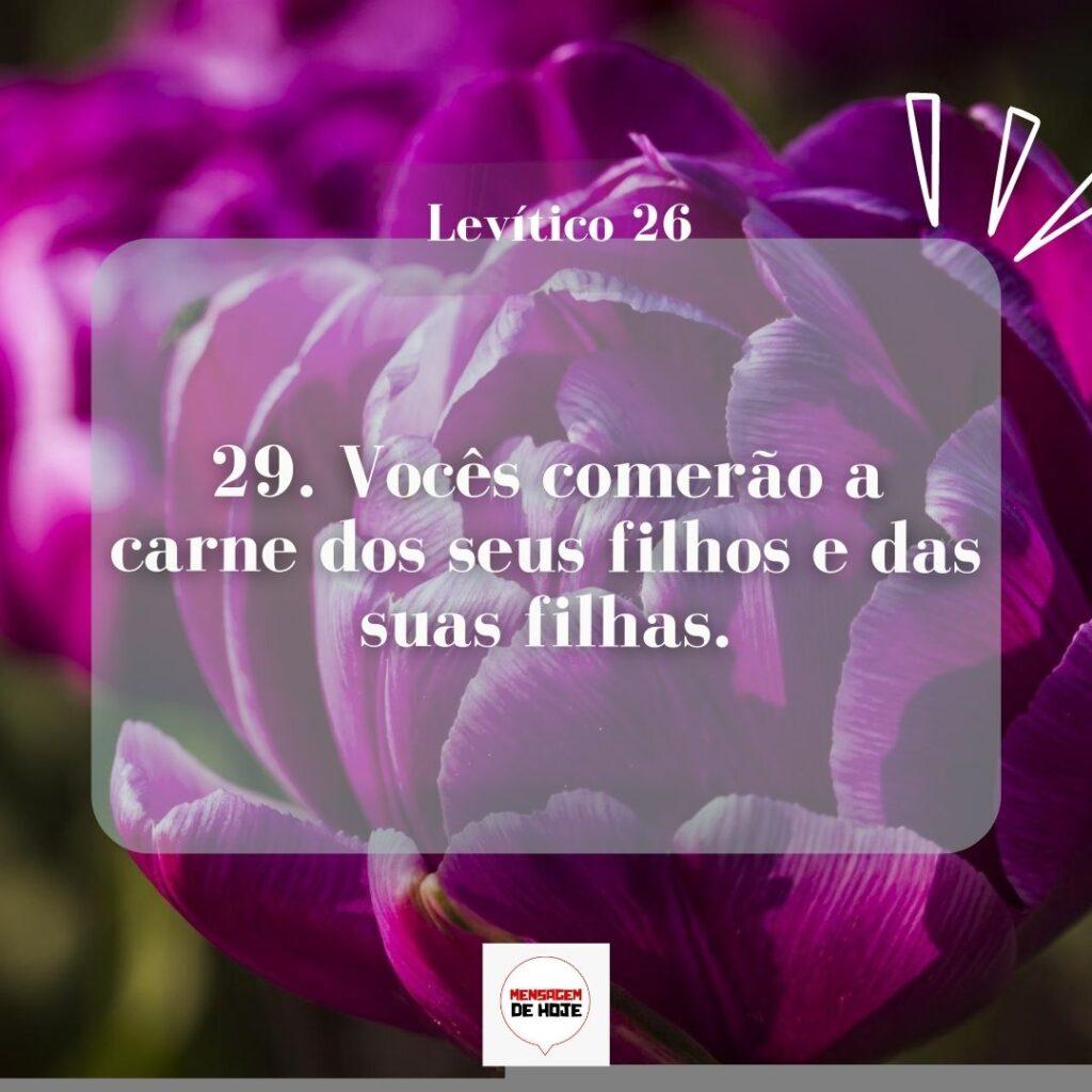 Salmos 13 de Março de 2023 17