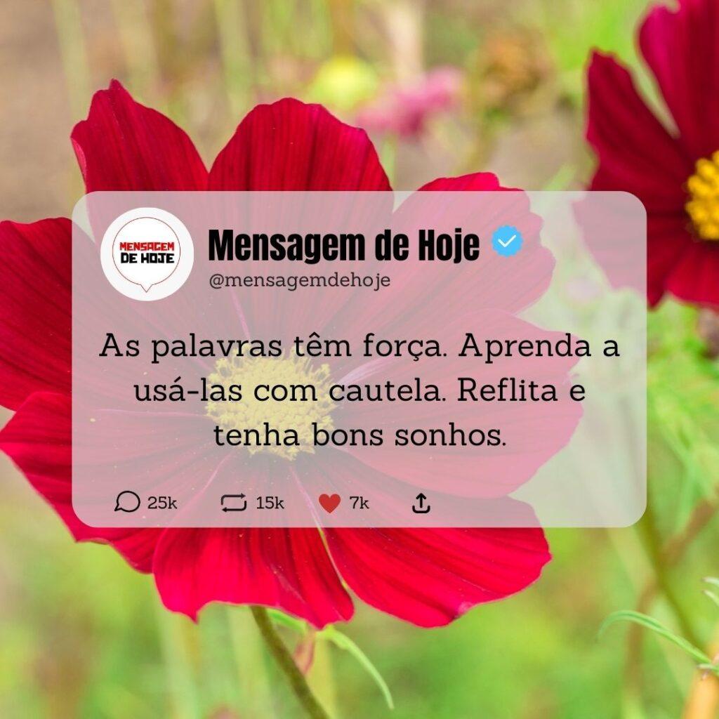 Boa Noite 01 de Março de 2023 19