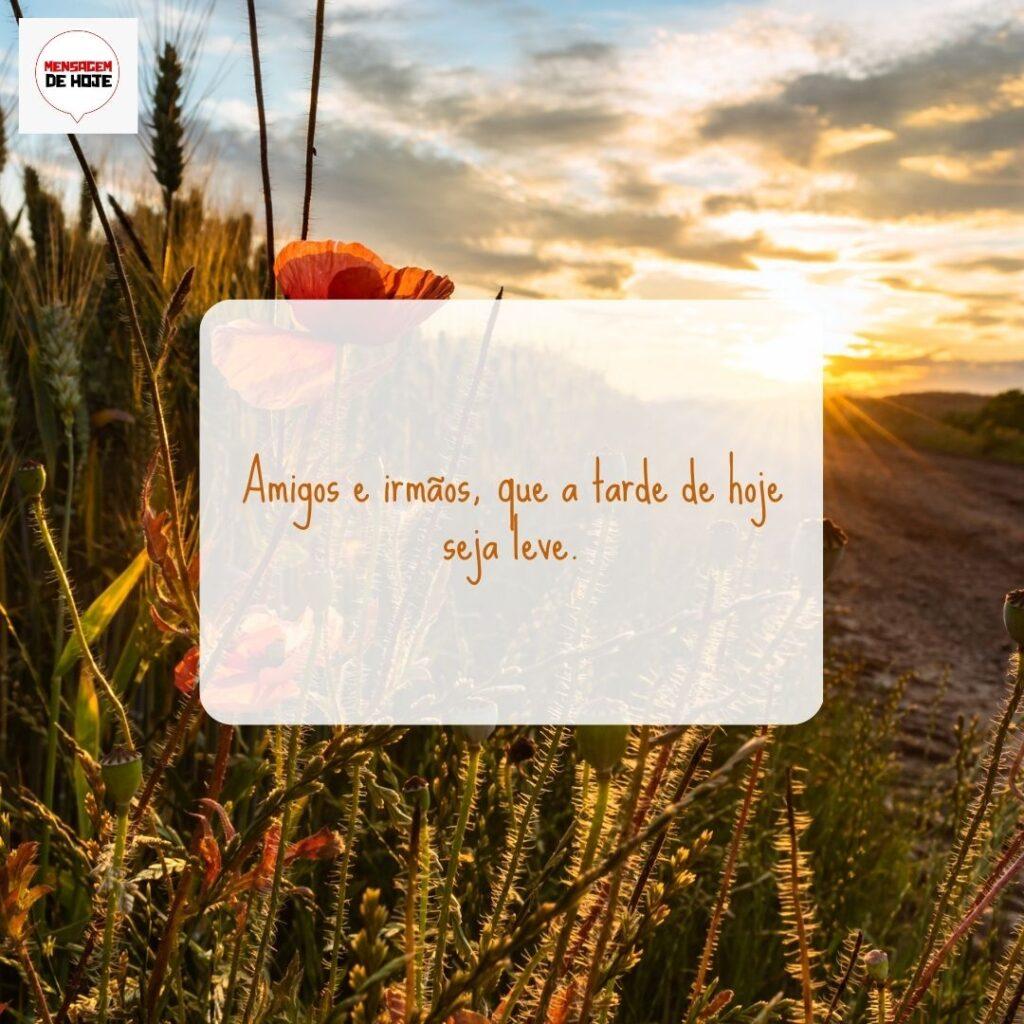 Boa Tarde 25 de Março de 2023 9