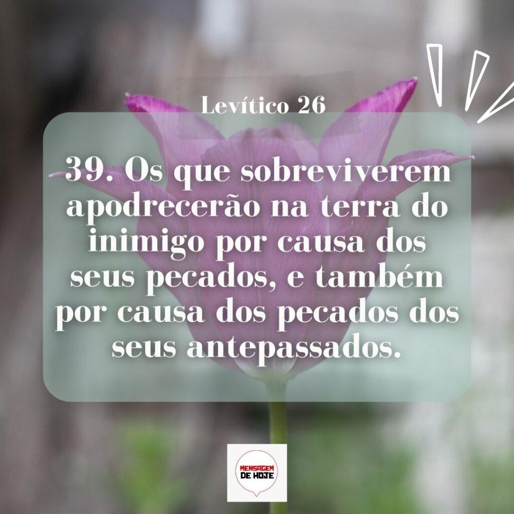 Salmos 14 de Março de 2023 17