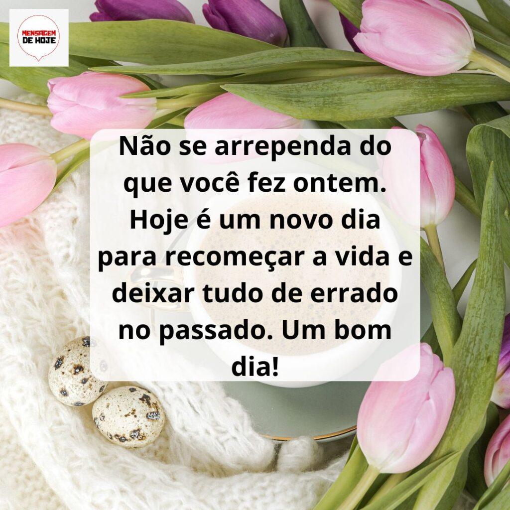 Bom Dia 10 de Março de 2023 19