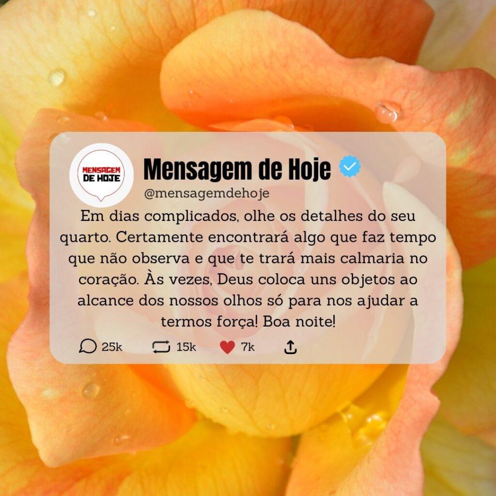 Boa Noite 08 de Abril de 2023 5