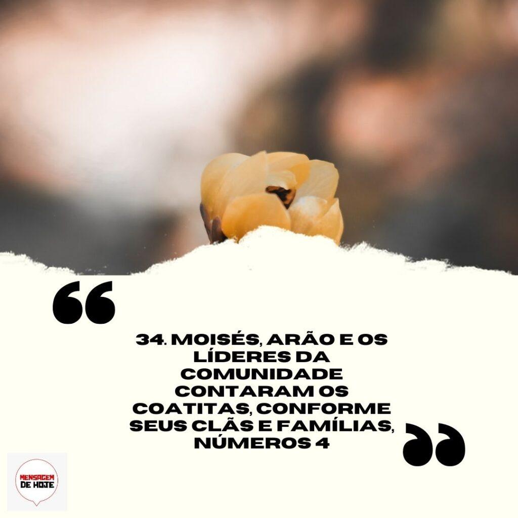 Salmos 05 de Abril de 2023 5