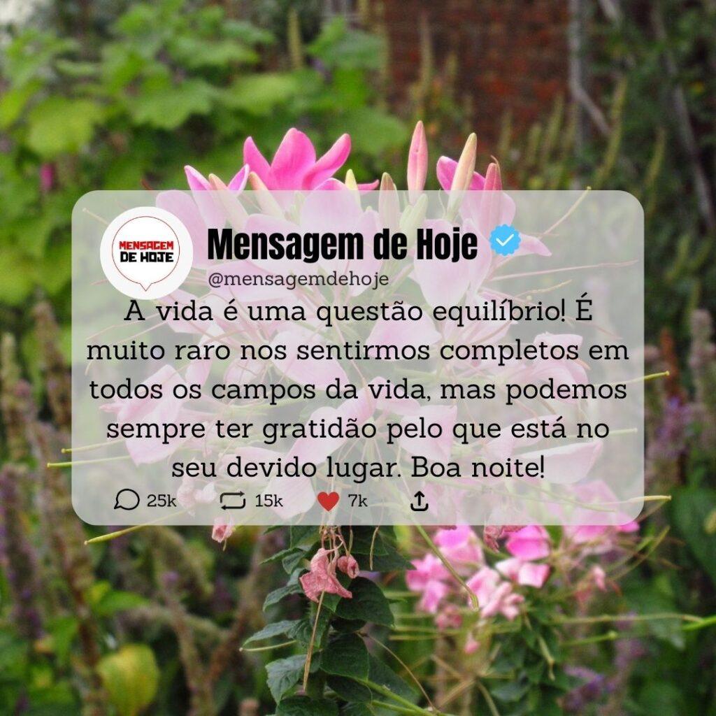Boa Noite 09 de Abril de 2023 7