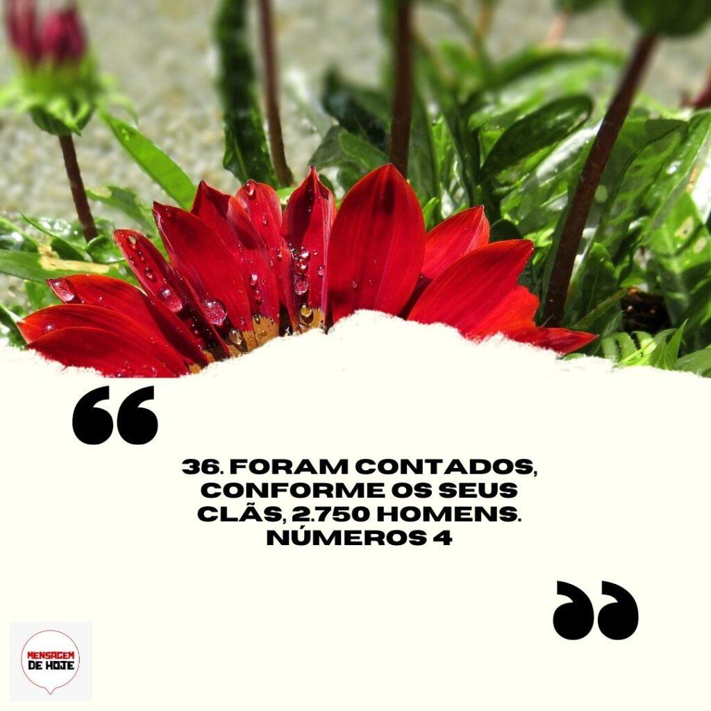 Salmos 05 de Abril de 2023 9